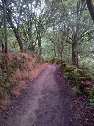 1908040_10203813288720133_7224931381547605230_n