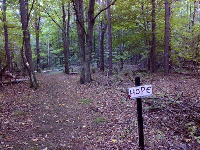 20728045_10212554877374386_3347078338756462849_n