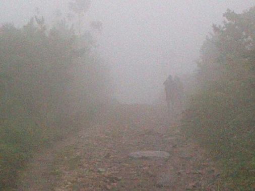 10455744_10203881536066274_933251597045339631_n