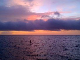 14390843_10209455138722857_5153586685275969290_n