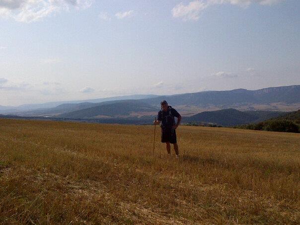 14054911_10209240941688065_3938689277427780114_n