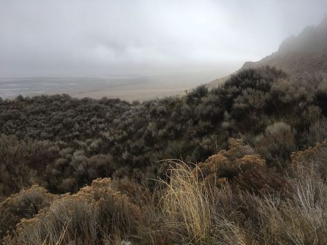 47108082_10216217648621378_675530963328958464_o