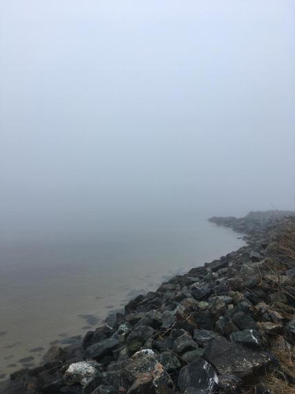 48380300_10216319695932497_4474957877747908608_n