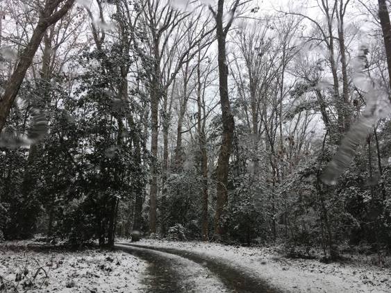 48269317_10216281748143826_513227387618459648_n