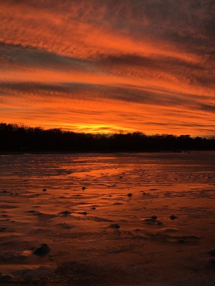 50401074_10216599151318707_267535089120837632_n