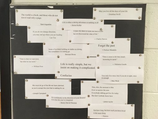 30739603_10214554803251283_6796824465050173440_o