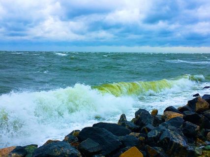 91333459_10220279117755568_8273282849587593216_o